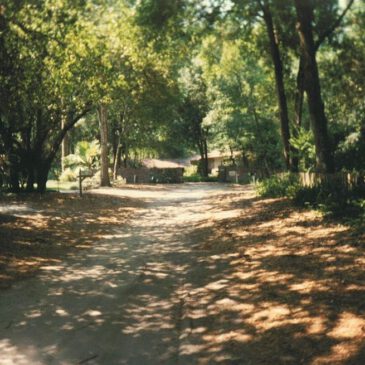 Das Haus, das Größenwahnsinn heißt: Mein deutscher Kulturschock