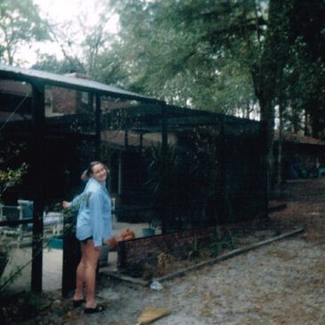 Mein Florida-Tagebuch: Poolsklavin & Excel-Heldin