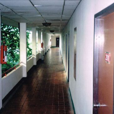 Das leise Nein – Was ich über Direktheit in Thailand lernte