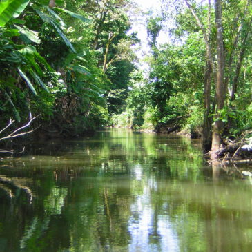 La Pura Vida – einfach leben, echt fühlen