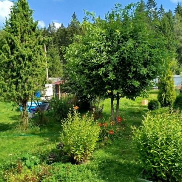 Der Kopf über dem Zaun