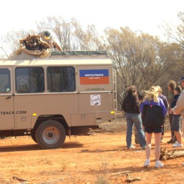 Waltzing Matilda unterm Sternenhimmel