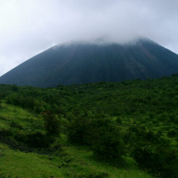 Ein Schritt nach vorn, zwei zurück