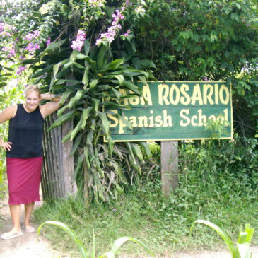 Lernen unter Mangobäumen